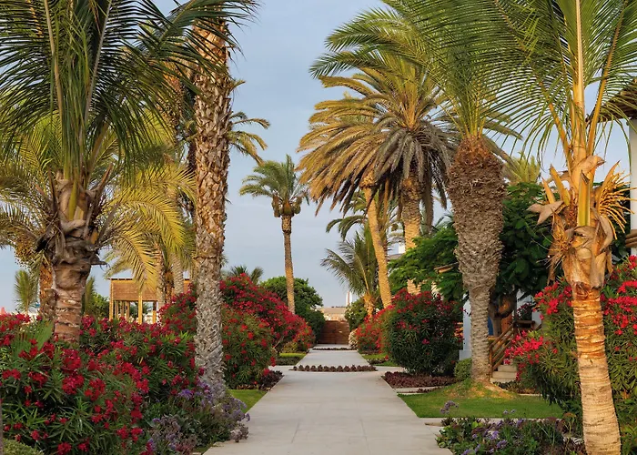 Paracas Guest House